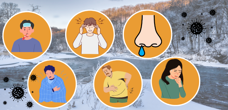 インフルエンザ　症状　予防　重要性