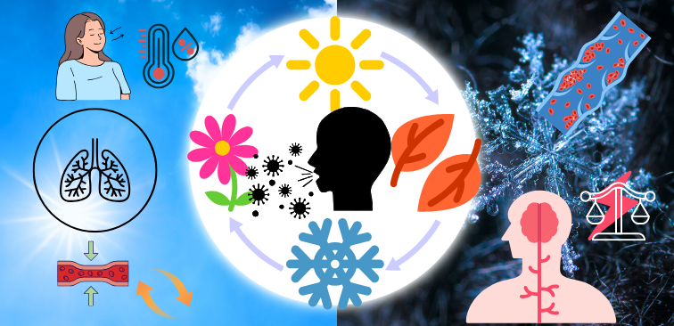 寒暖差アレルギー　気道　刺激　冷たい空気　自律神経