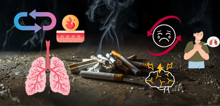 タバコを吸い続けることで気道が狭く硬くなり、気道リモデリングを引き起こしやすくしてしまう様子