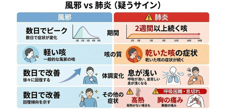 風邪と肺炎の違いを説明した図解