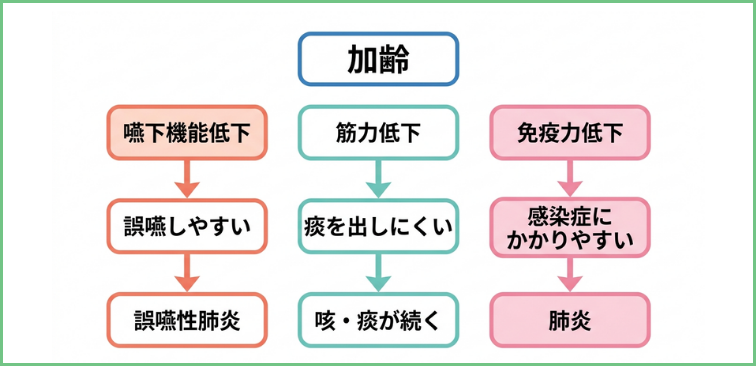 加齢によって誤嚥や痰が絡む、肺炎につながる流れを示した図解