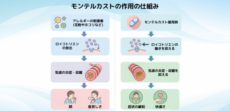 モンテルカストの作用の仕組み