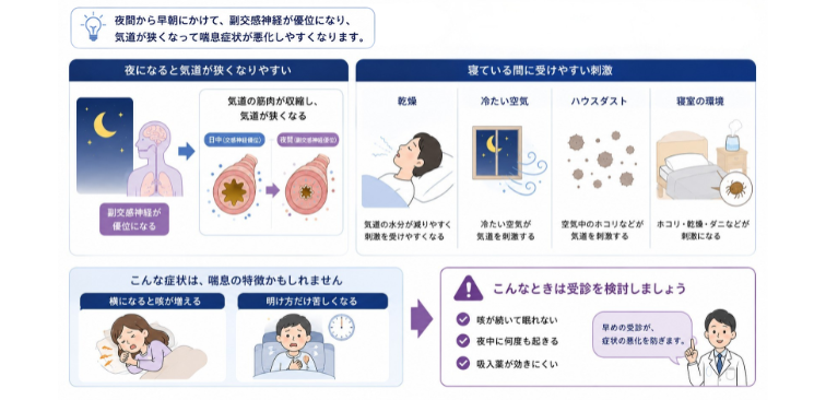 夜間に気道が狭くなり喘息症状が悪化しやすい