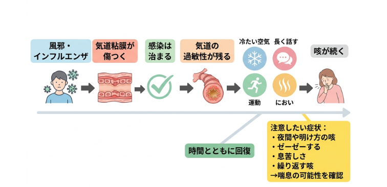 感染症をきっかけに喘息になっていく流れ
