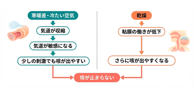 寒暖差と乾燥によって咳が出るメカニズム