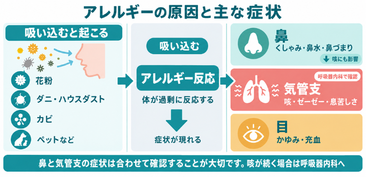 アレルギーの原因と主な症状