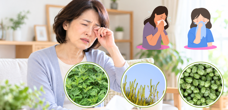 秋の花粉症によって目のかゆみ、くしゃみ、鼻水などの症状が出ている女性の様子