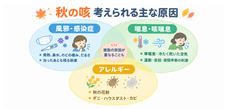 秋の咳で考えられる主な原因