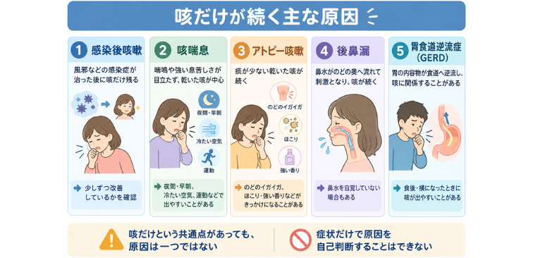 咳だけつづく主な原因の図解